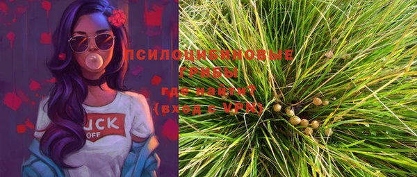 крисы Бронницы