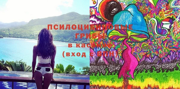 соль курить ск Верея