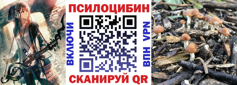 где купить наркотик  Ейск  Псилоцибиновые грибы Magic Shrooms 