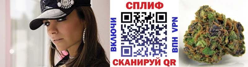 закладка Ейск Конопля гибрид